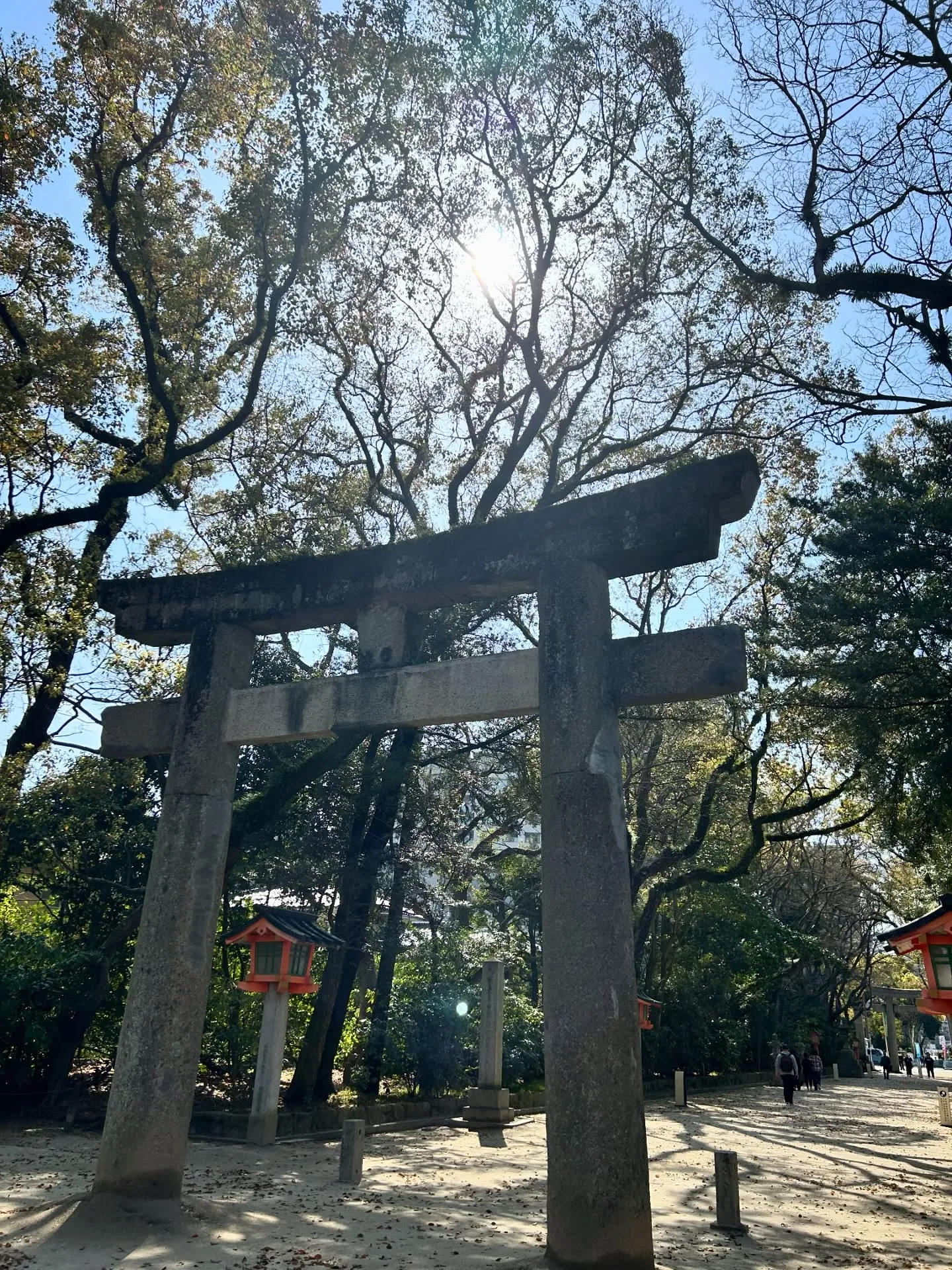 ✨🪐宇宙と遊ぶ1日🪐✨