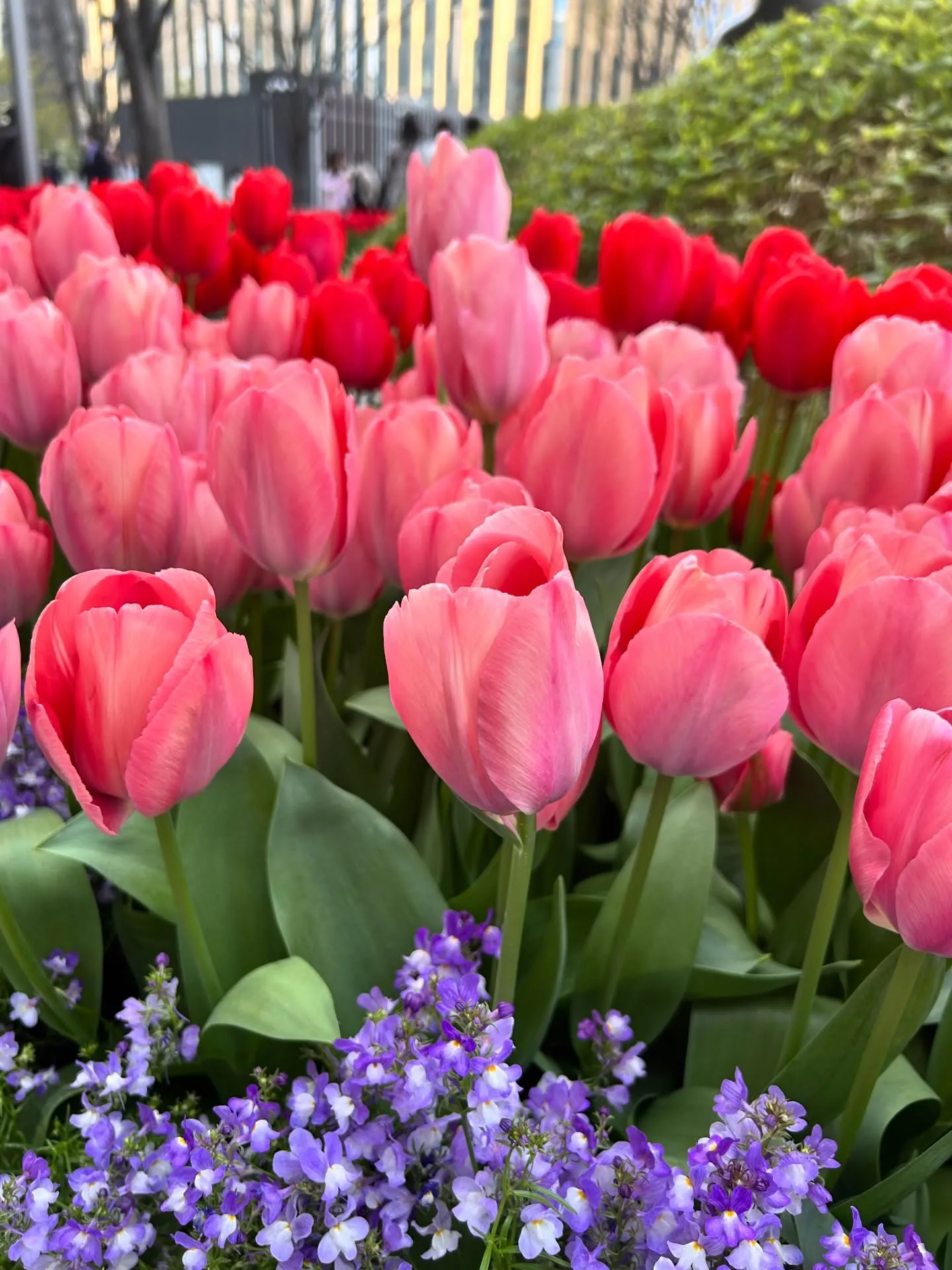 ✨🪐宇宙と遊ぶ1日🪐✨