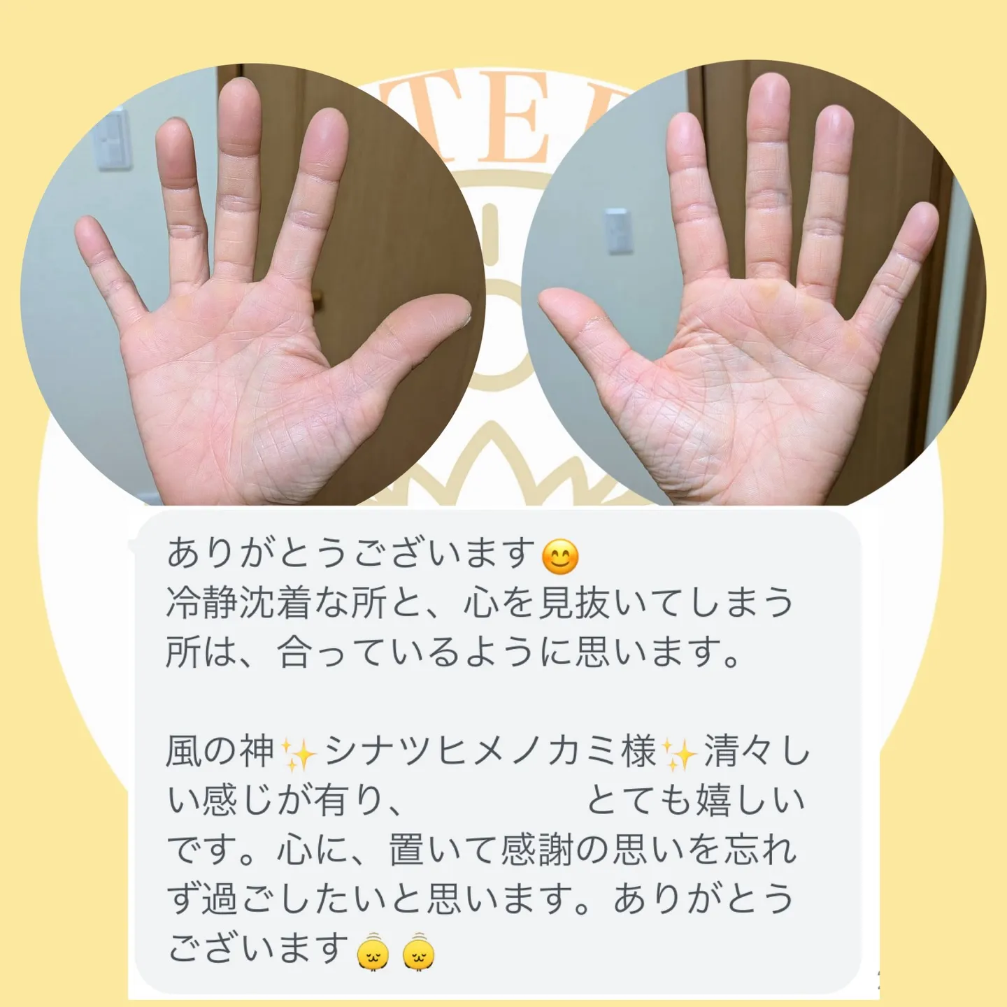 ✨手に宿るあなただけの守護神✨