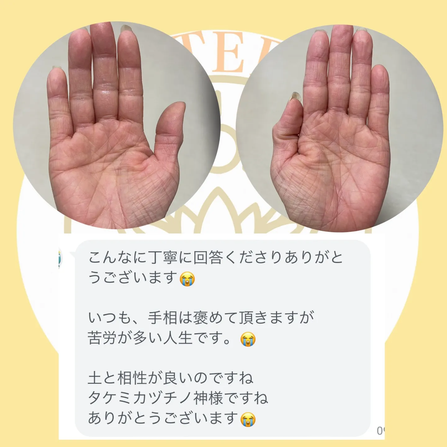 ✨手に宿るあなただけの守護神✨