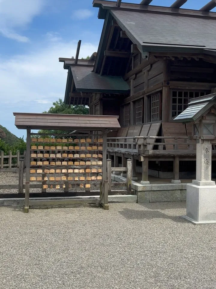 🌞【開催決定のお知らせ】🌞